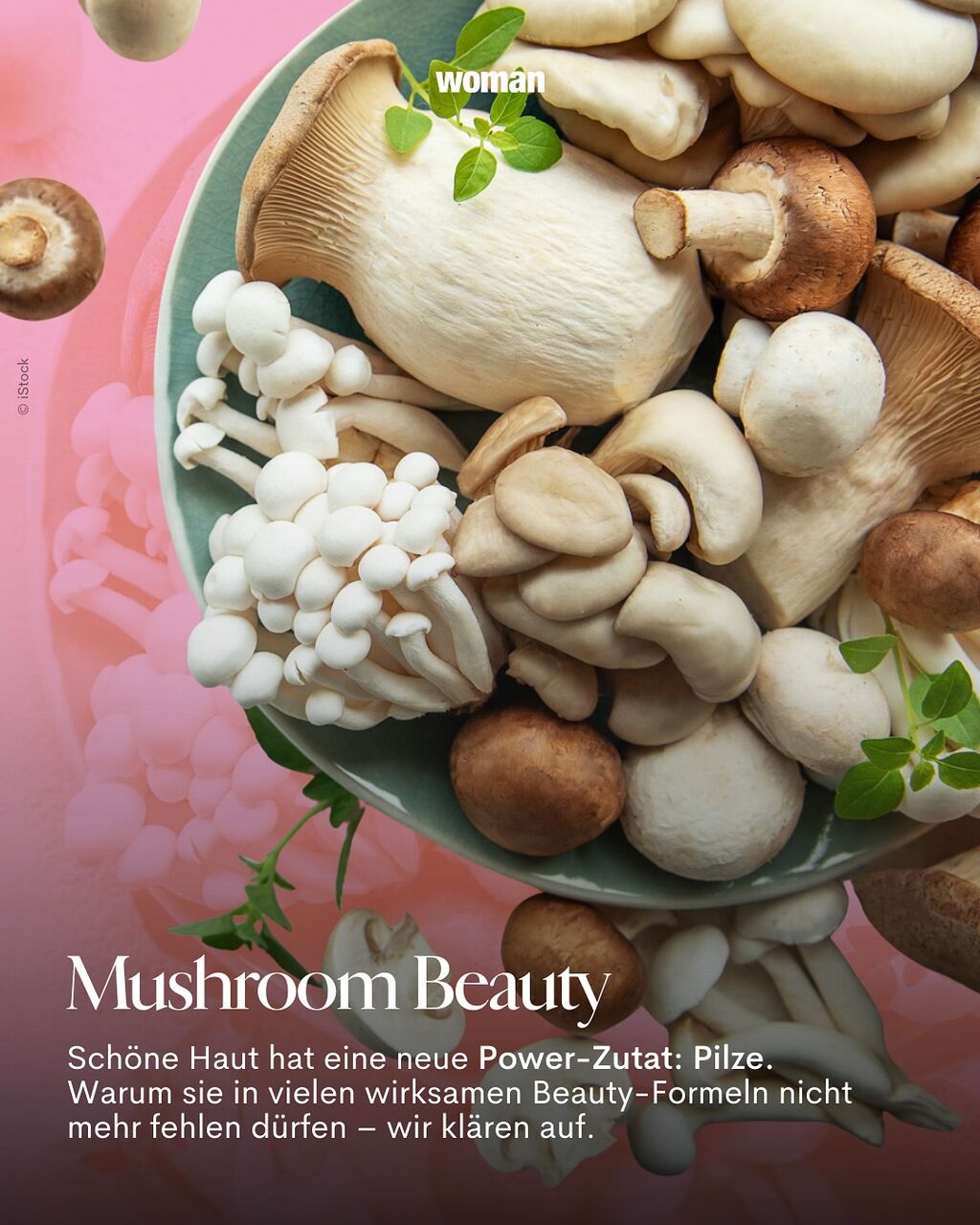 Mushroom Beauty