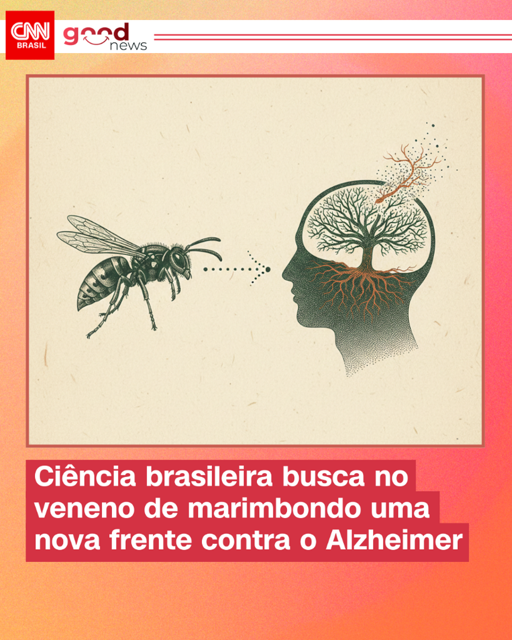 Fa&ccedil;a parte do Clube de Membros da CNN 