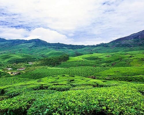 5 Dias Viaje por los remansos de Kerala