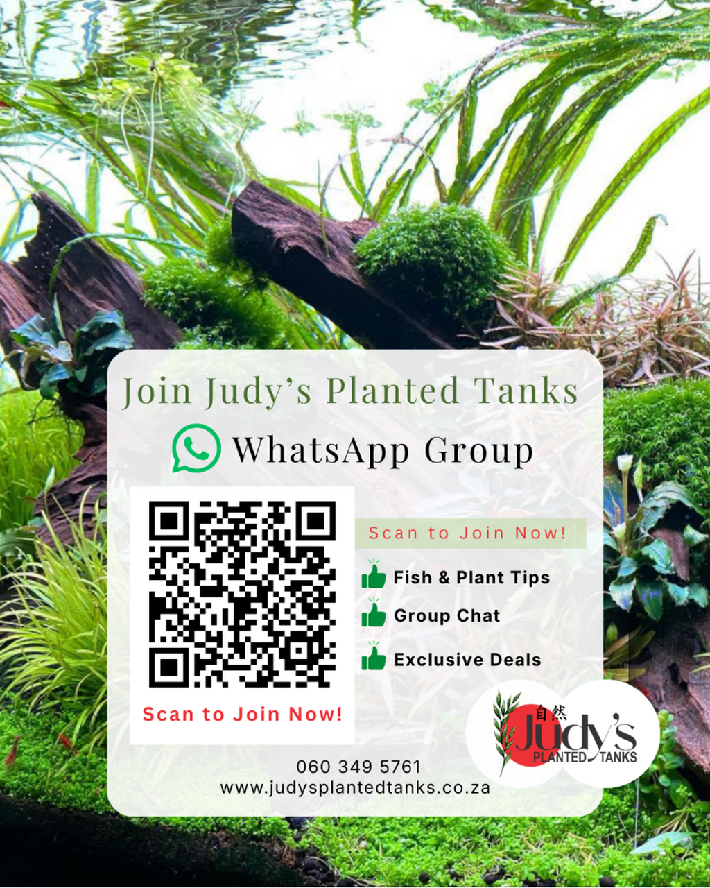 JPT WhatsApp Group