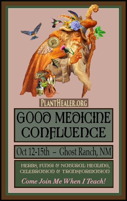 Join me at the Good Medicine Confluence Oct 12-15 in New Mexico