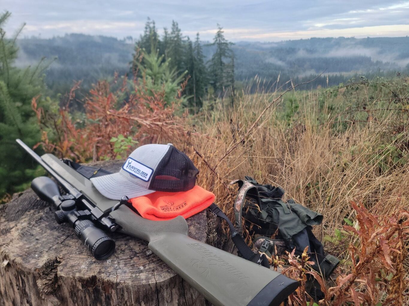 The Ultimate Hunting Challenge and Opportunity: Washington&rsquo;s Black-Tailed Deer