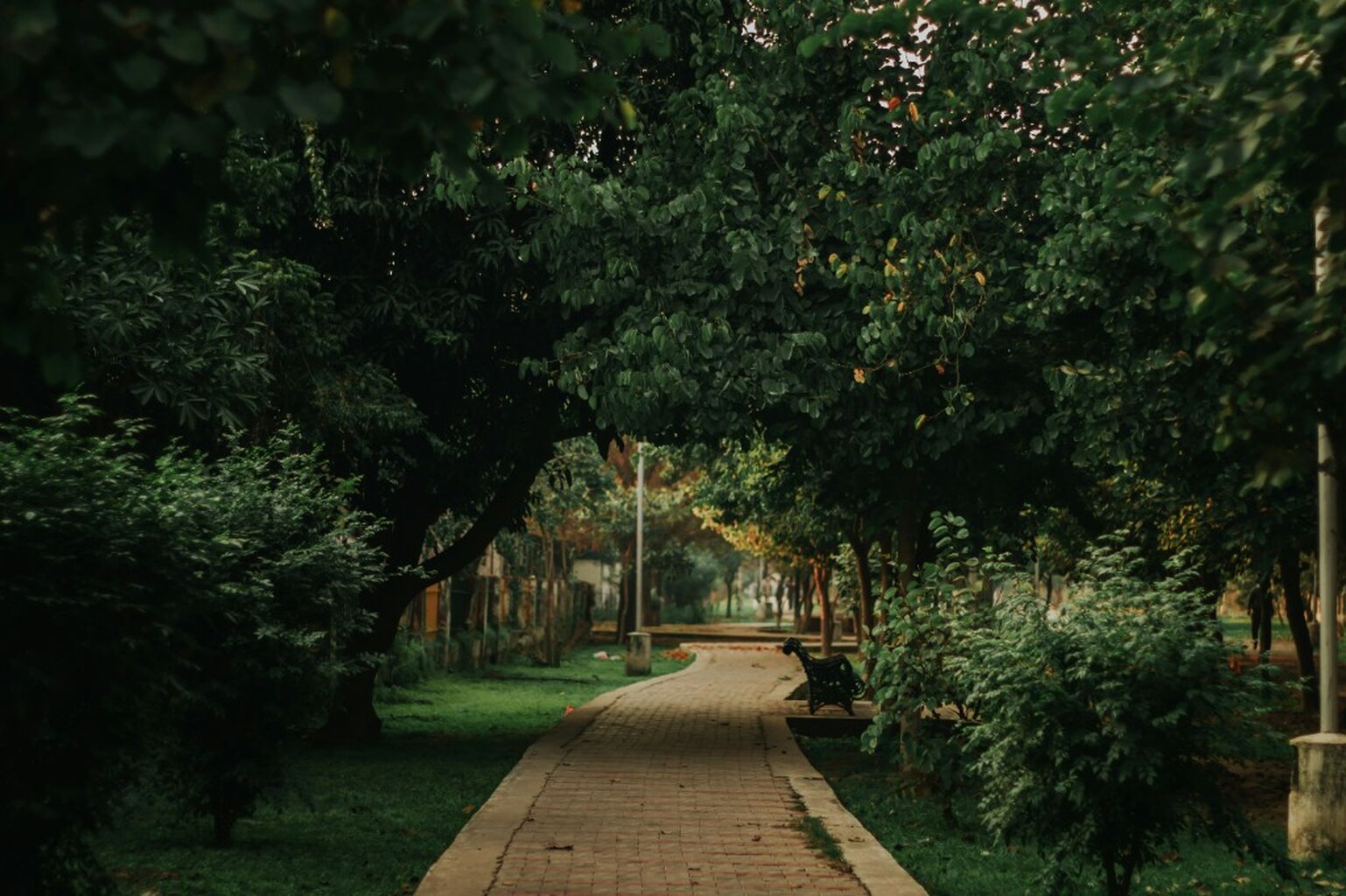 Changes in Urban Green Space