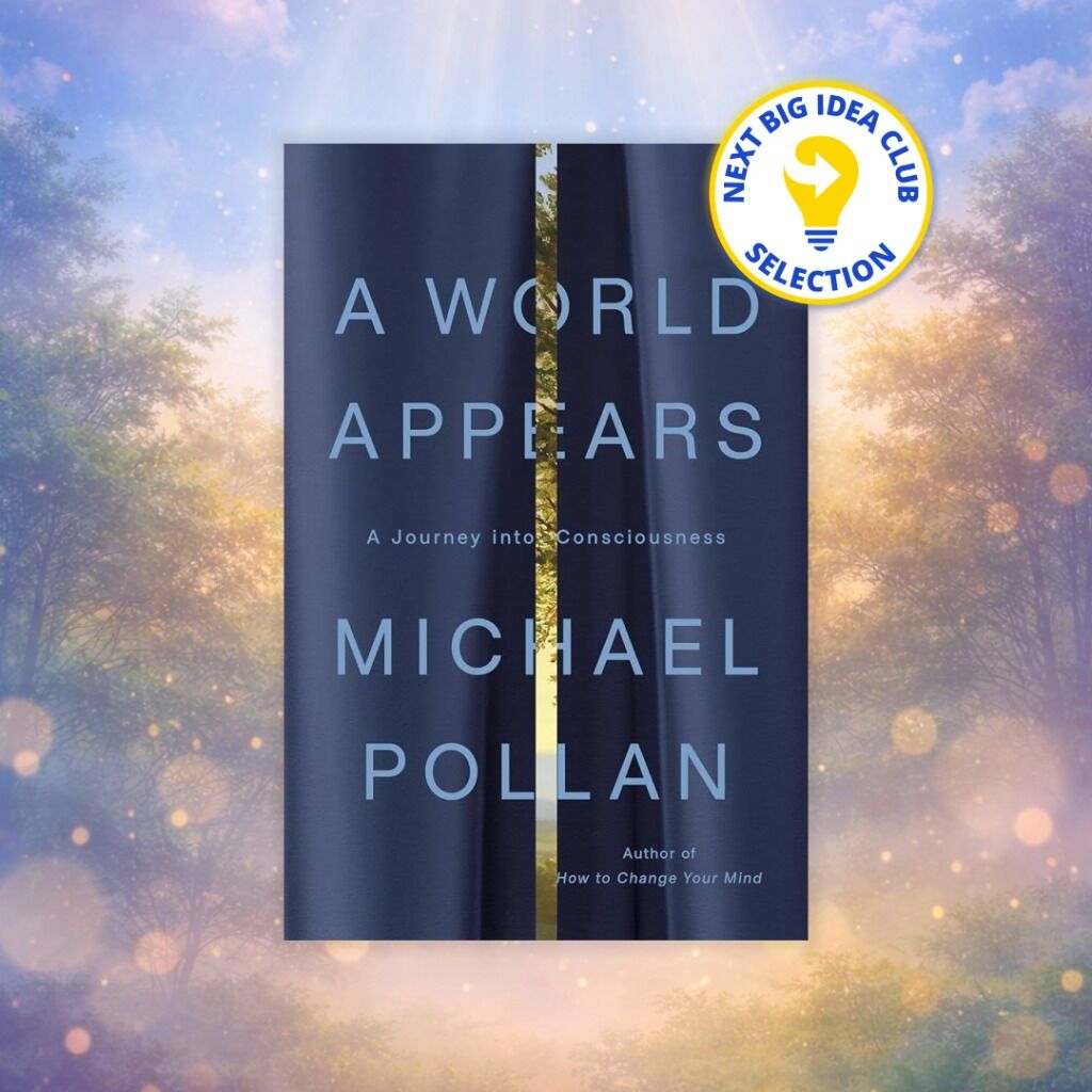 A World Appears Season 29