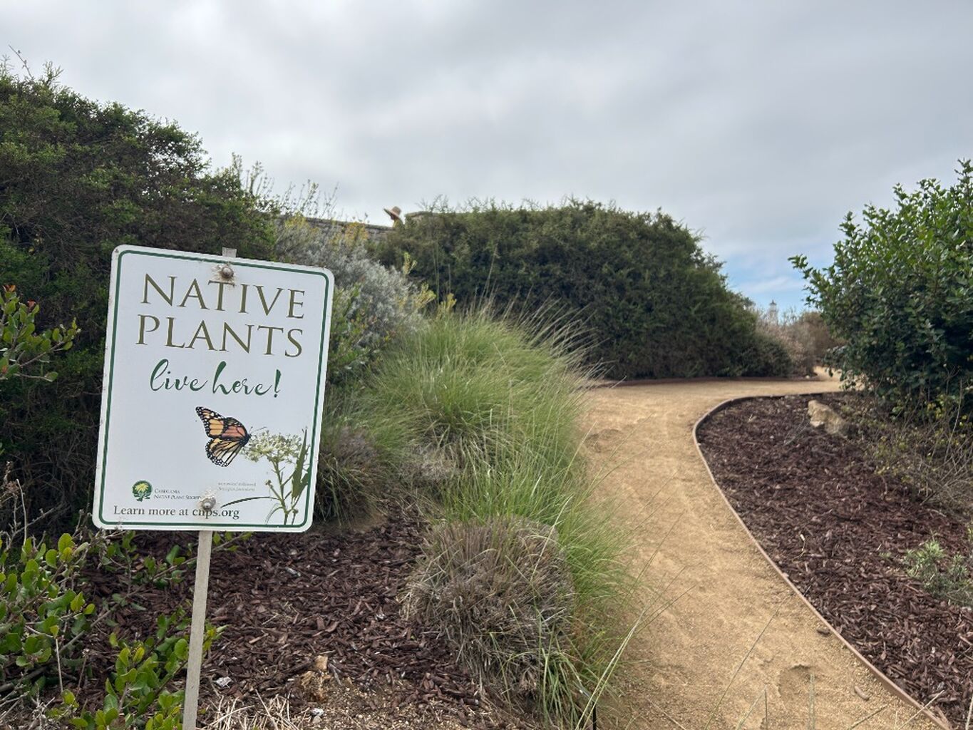 Native Plant Garden Volunteer Sign-up
