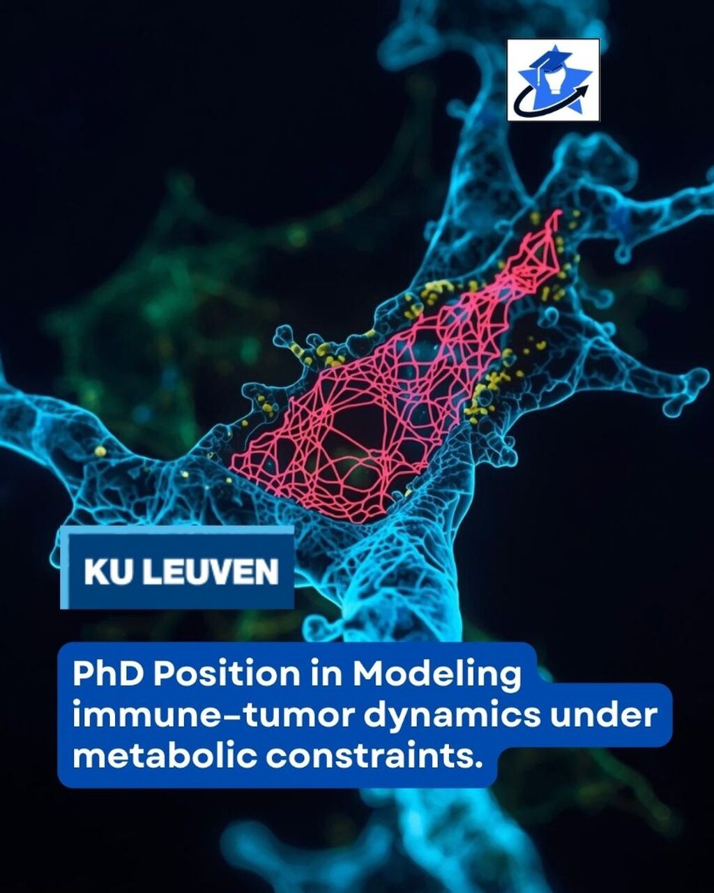 PhD Position in Belgium