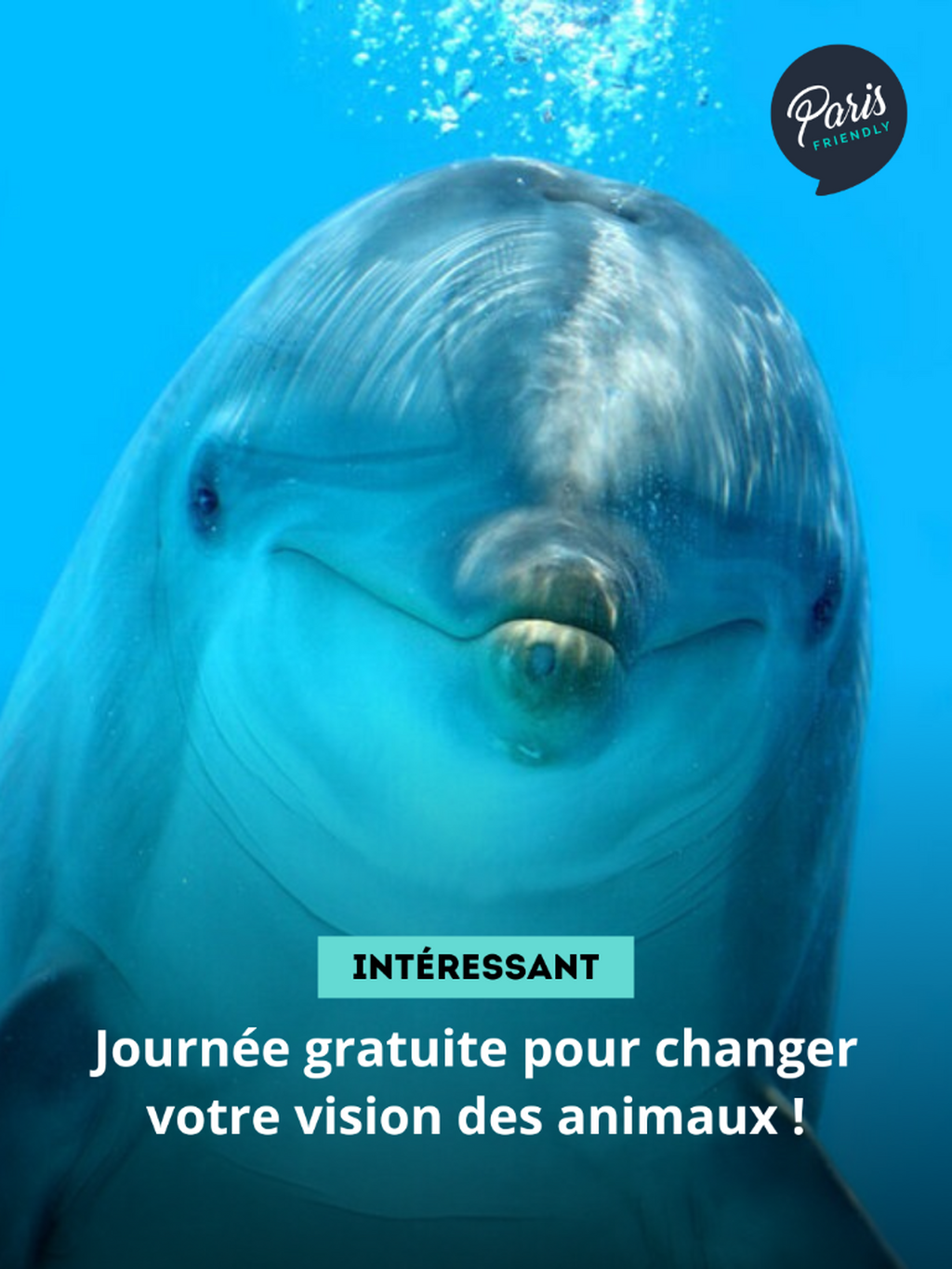 Journ&eacute;e gratuite pour changer votre vision des animaux !