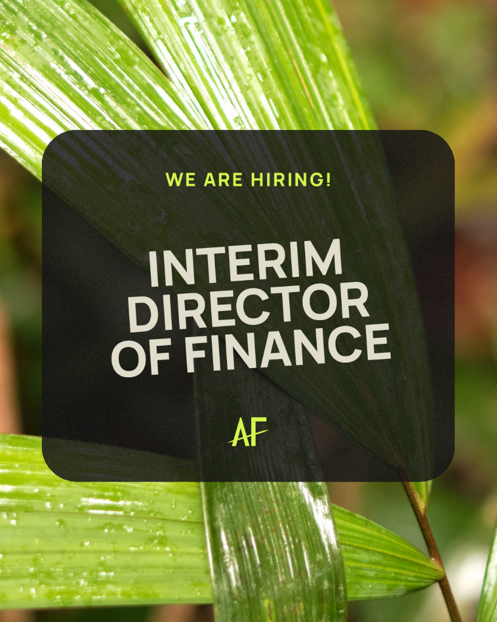 Interim Director of Finance (sabbatical cover) - Amazon Frontlines