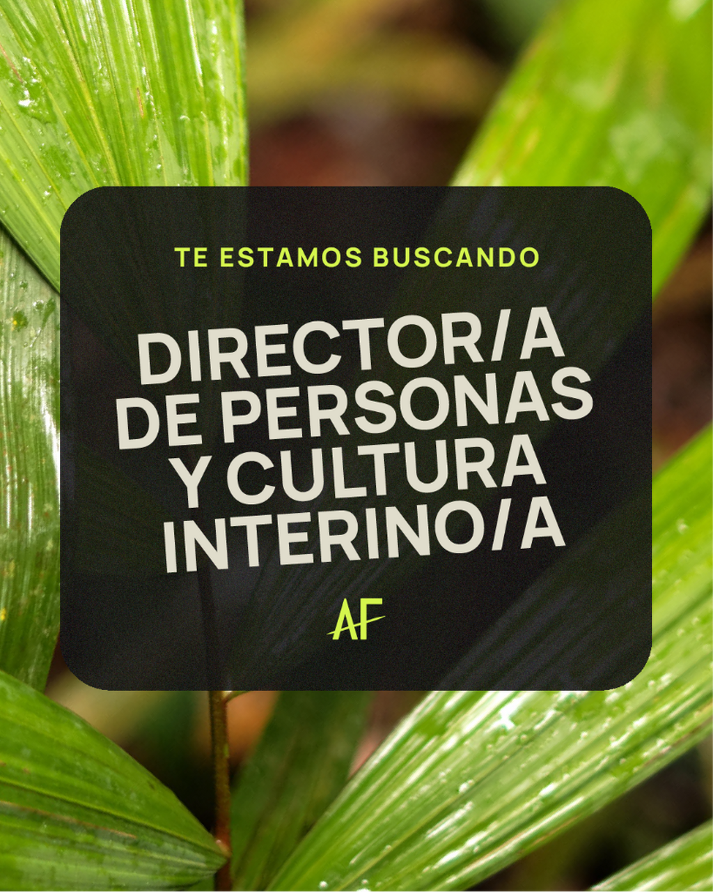 Director/a de Personas y Cultura Interino/a