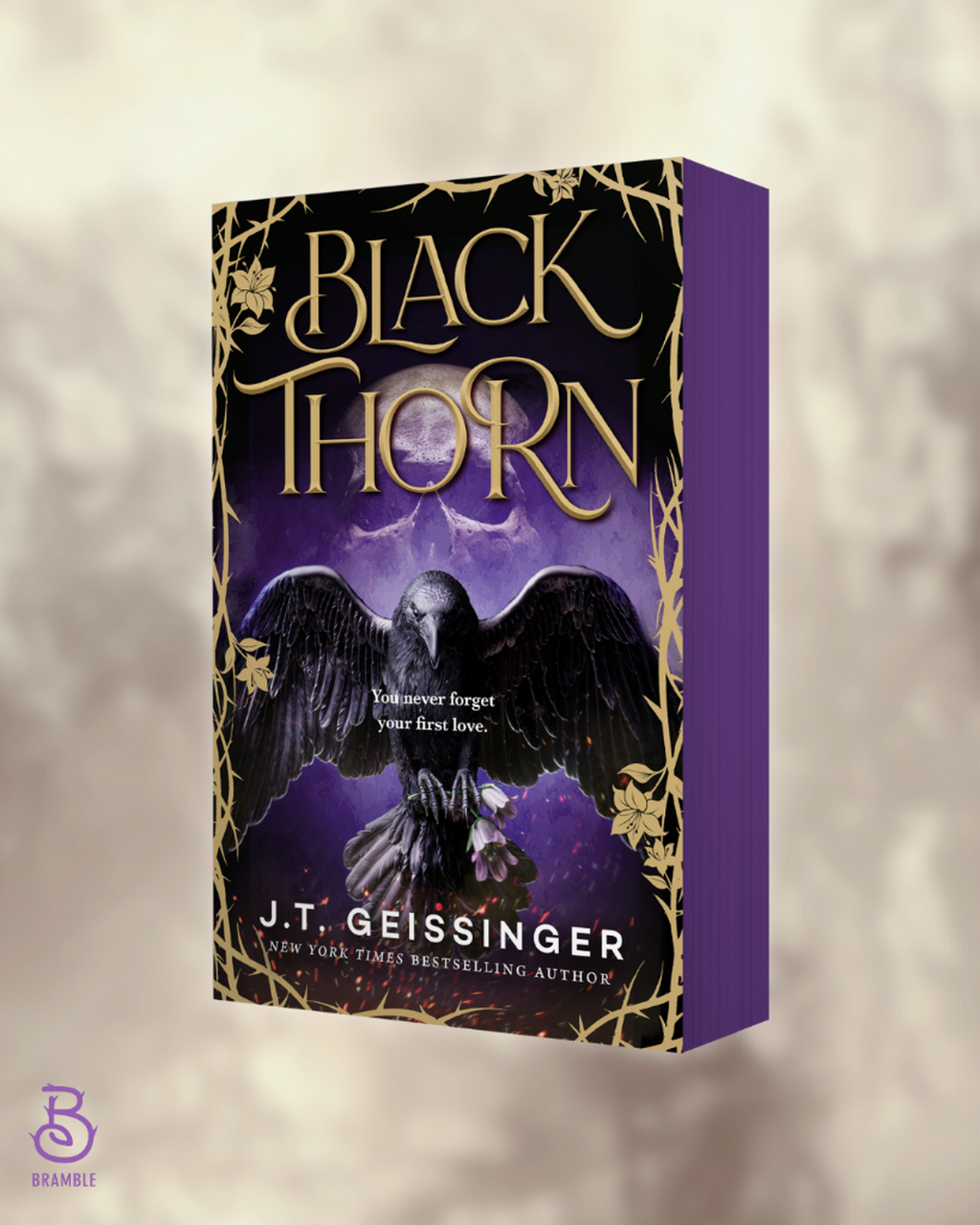 Blackthorn paperback | pre-order here!
