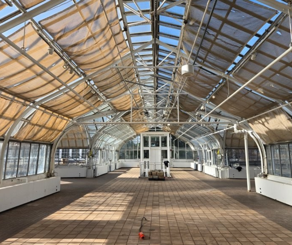 Construction on the Palm House and Showhouse Begins