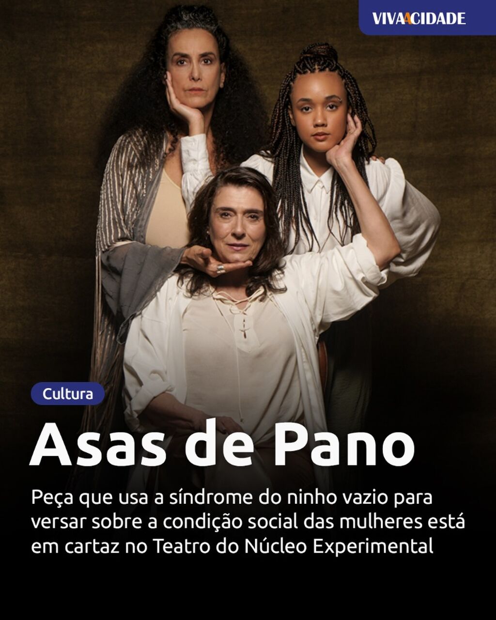 Asas de Pano