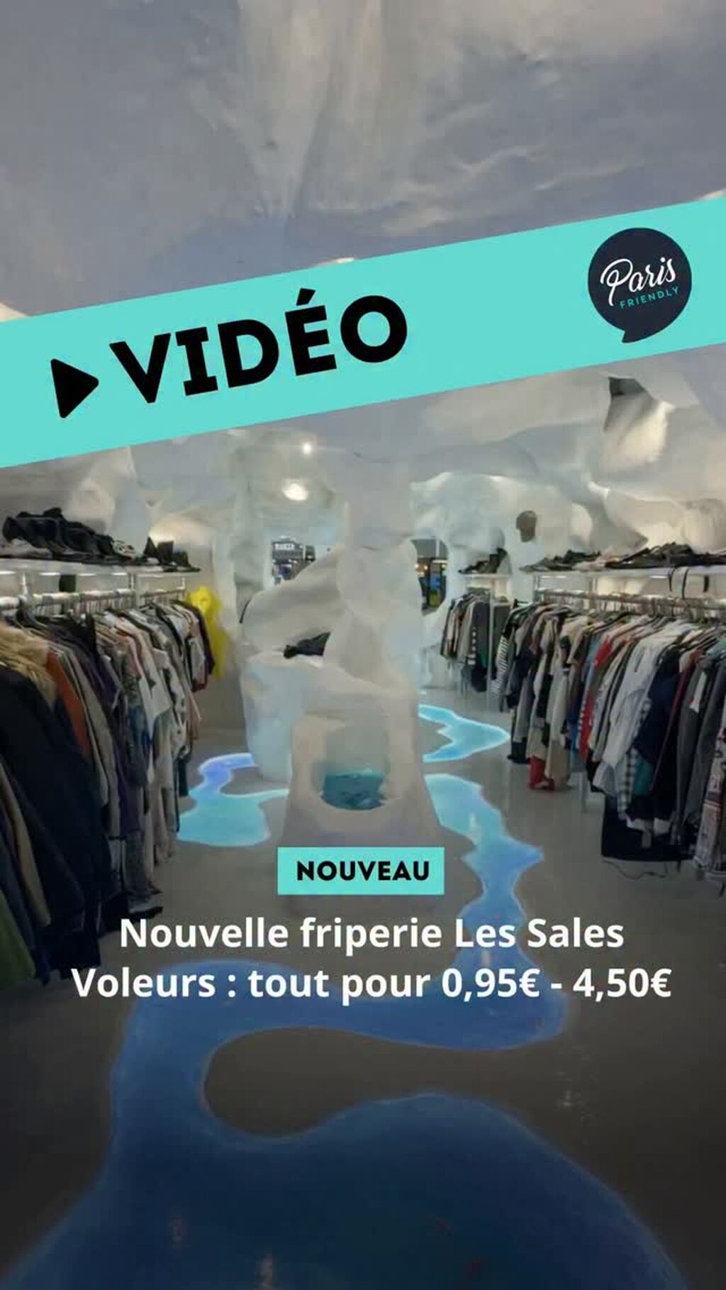 Les Sales Voleurs
