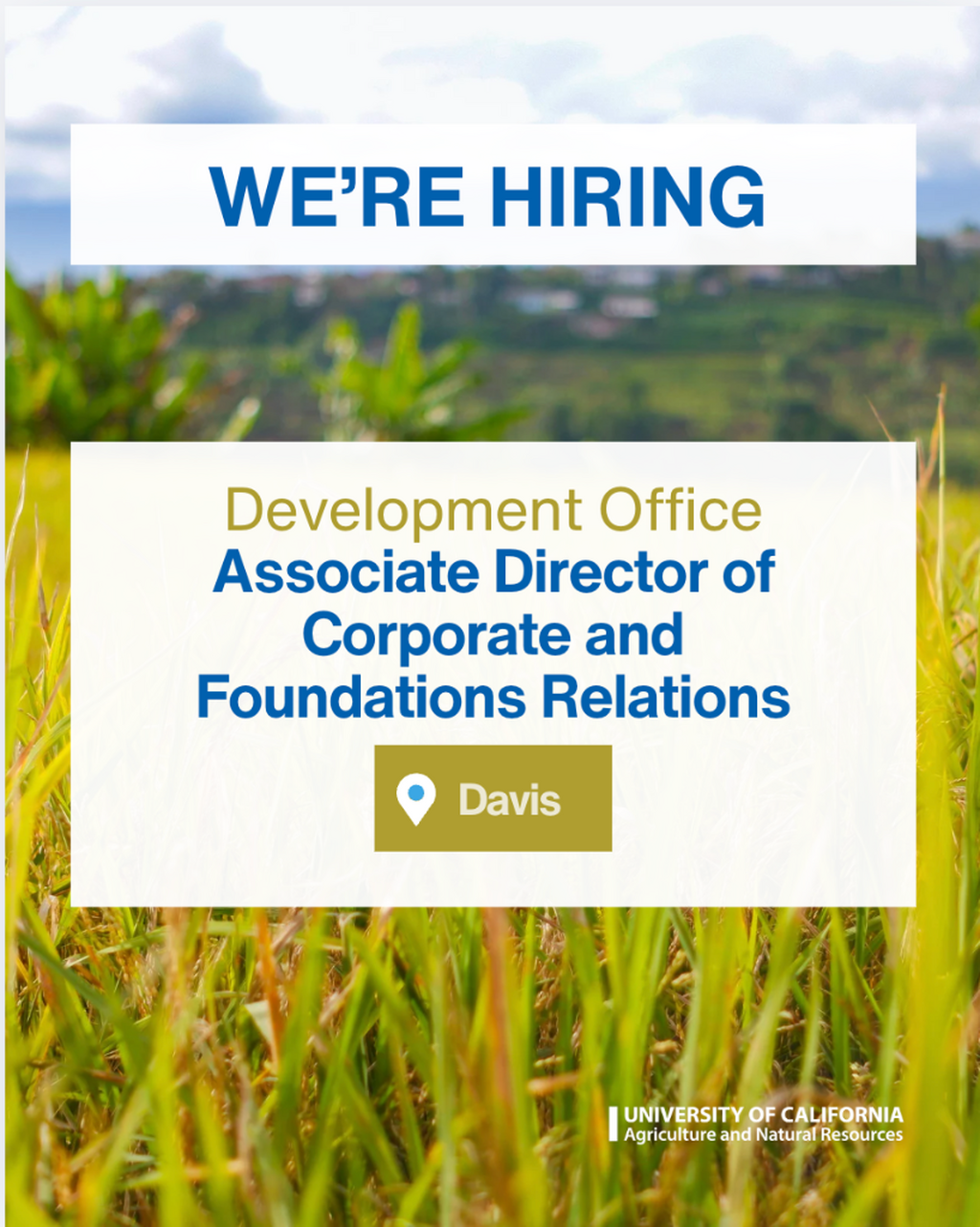 Associate Director of Corporate and Foundations Relations