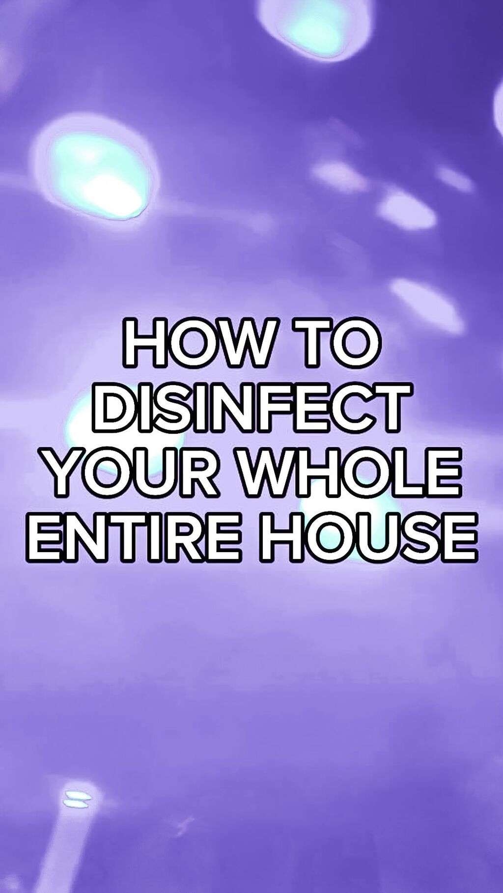 disinfect your whole entire home