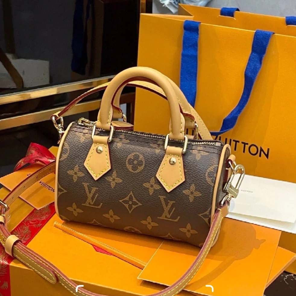 Lv bag mini