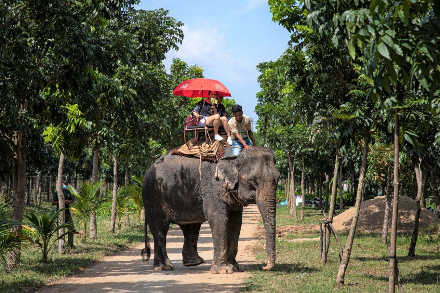 Help End Animal Abuse Abroad