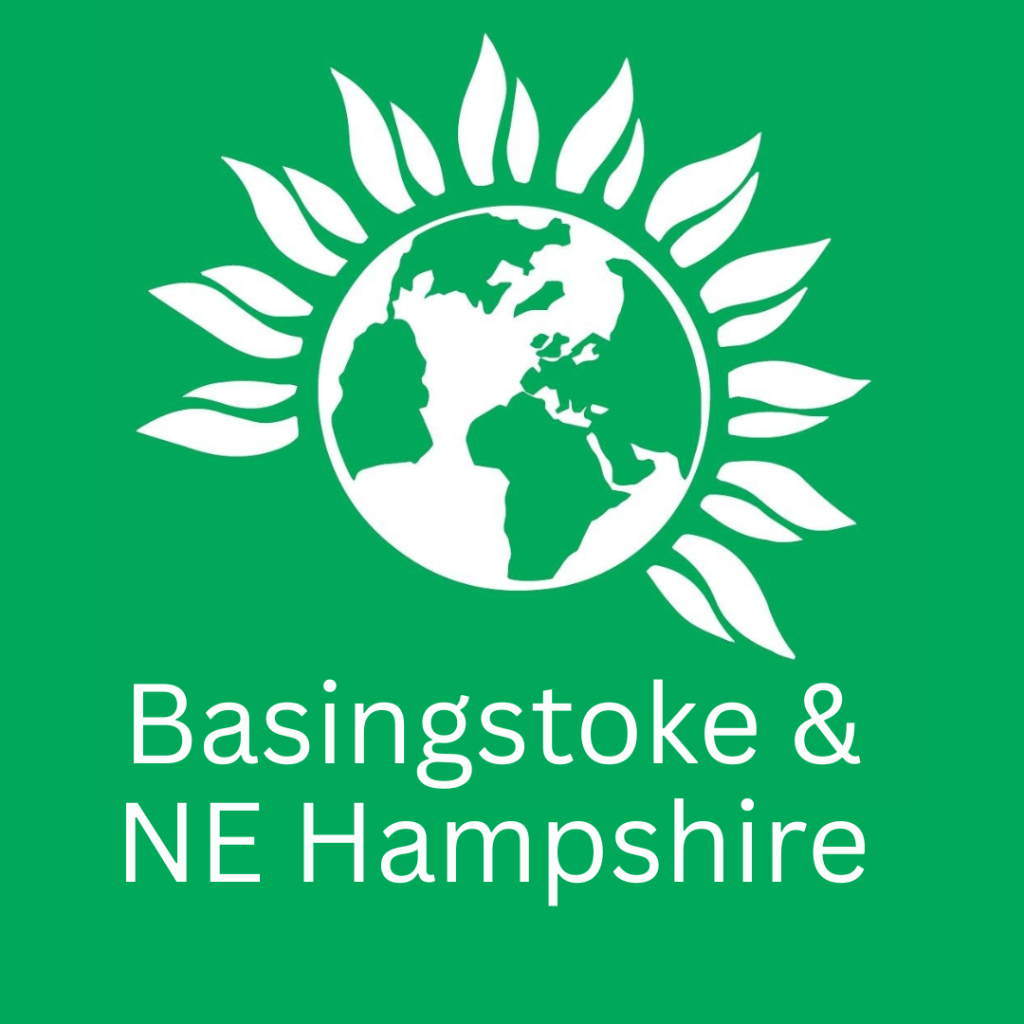 Basingstoke & North East Hampshire
