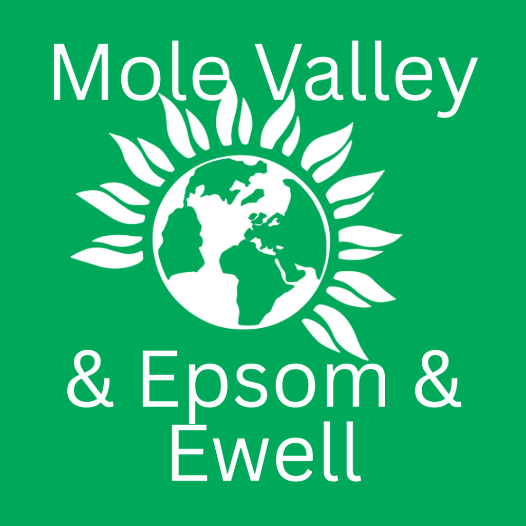 Mole Valley & Epsom & Ewell