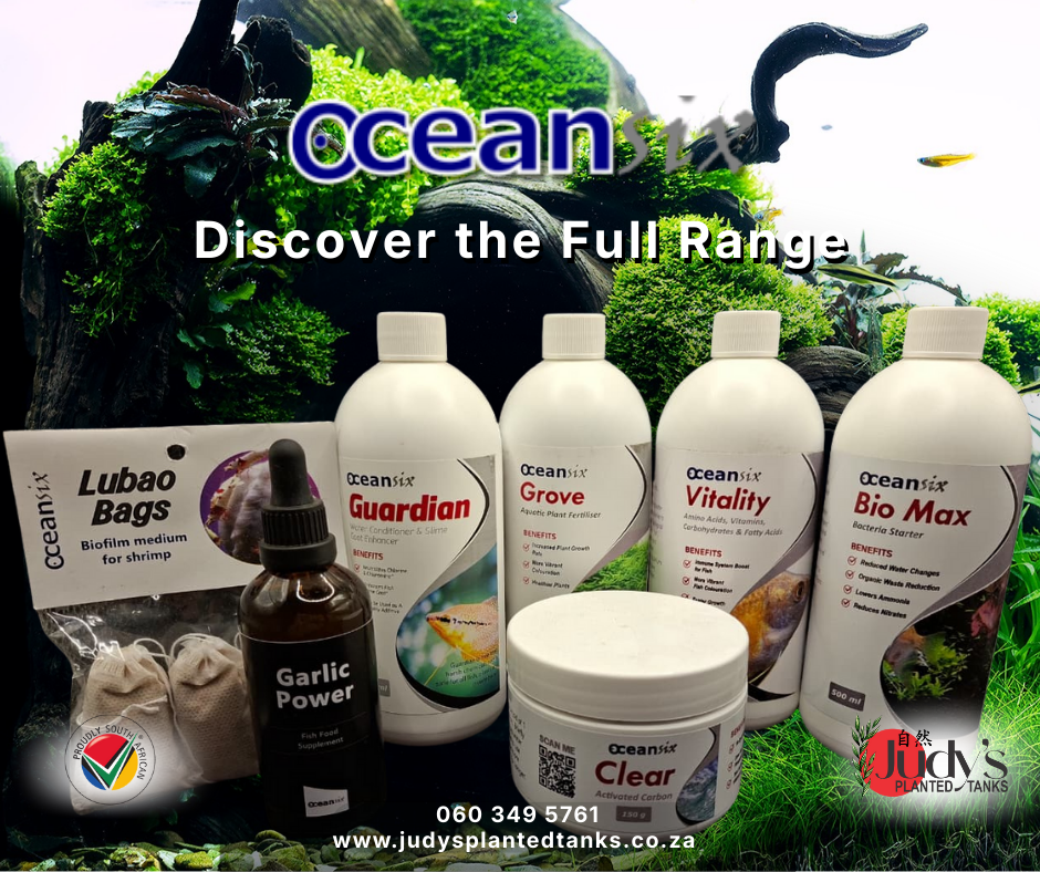 Ocean Six