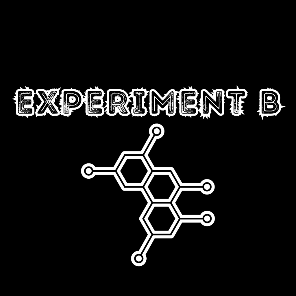 Experiment B - TikTok