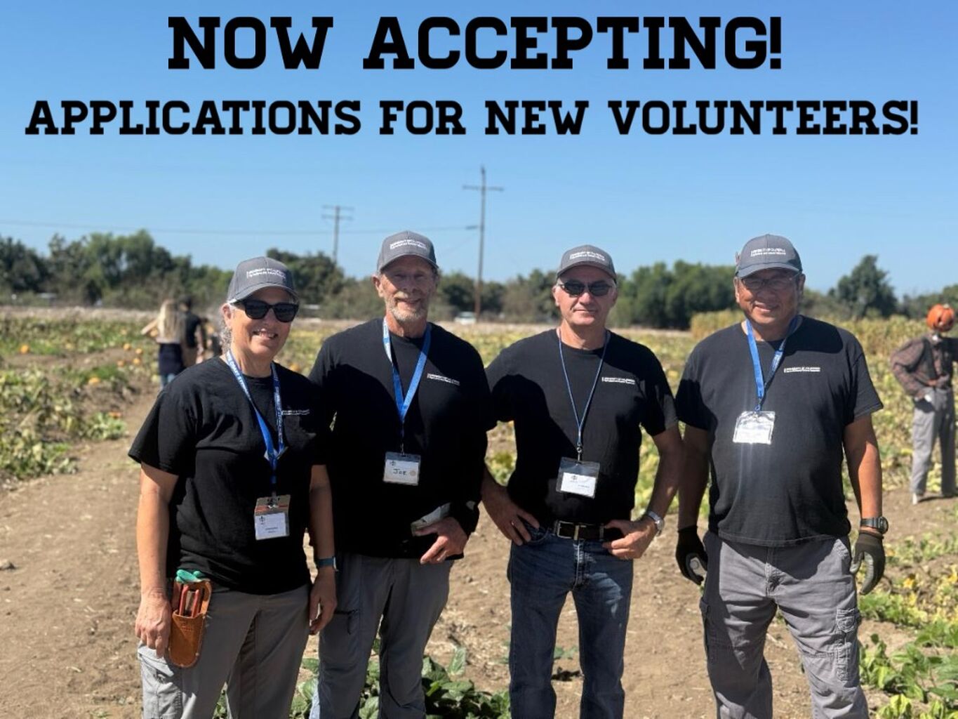 Apply to be a volunteer 2026