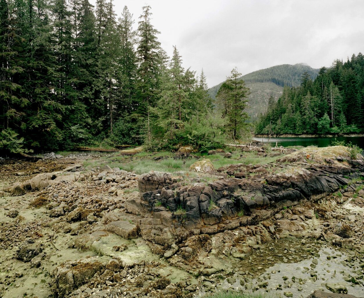 Director's Choice: Stan Douglas&nbsp; | McMichael Canadian Art Collection