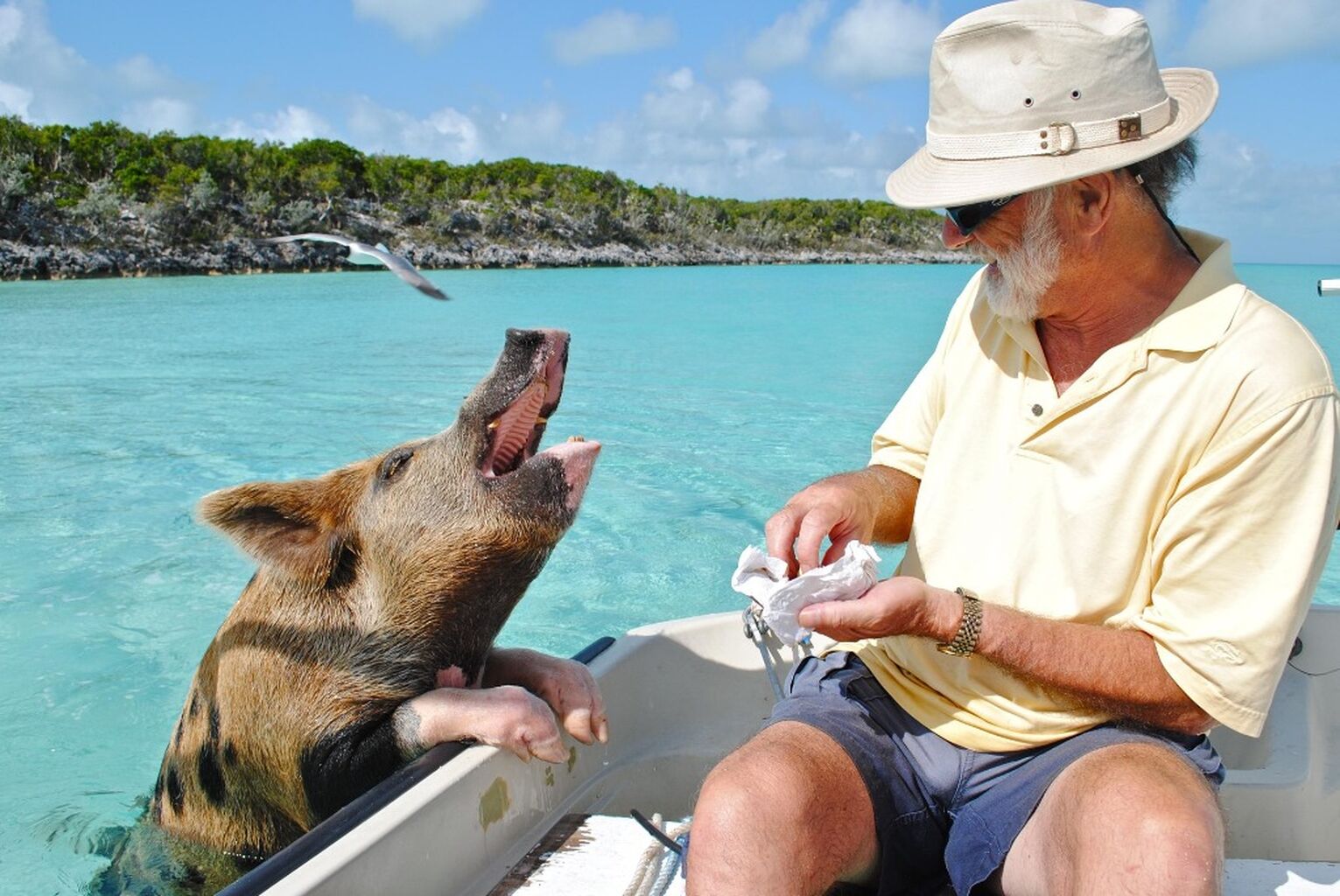 is the bahamas safe?