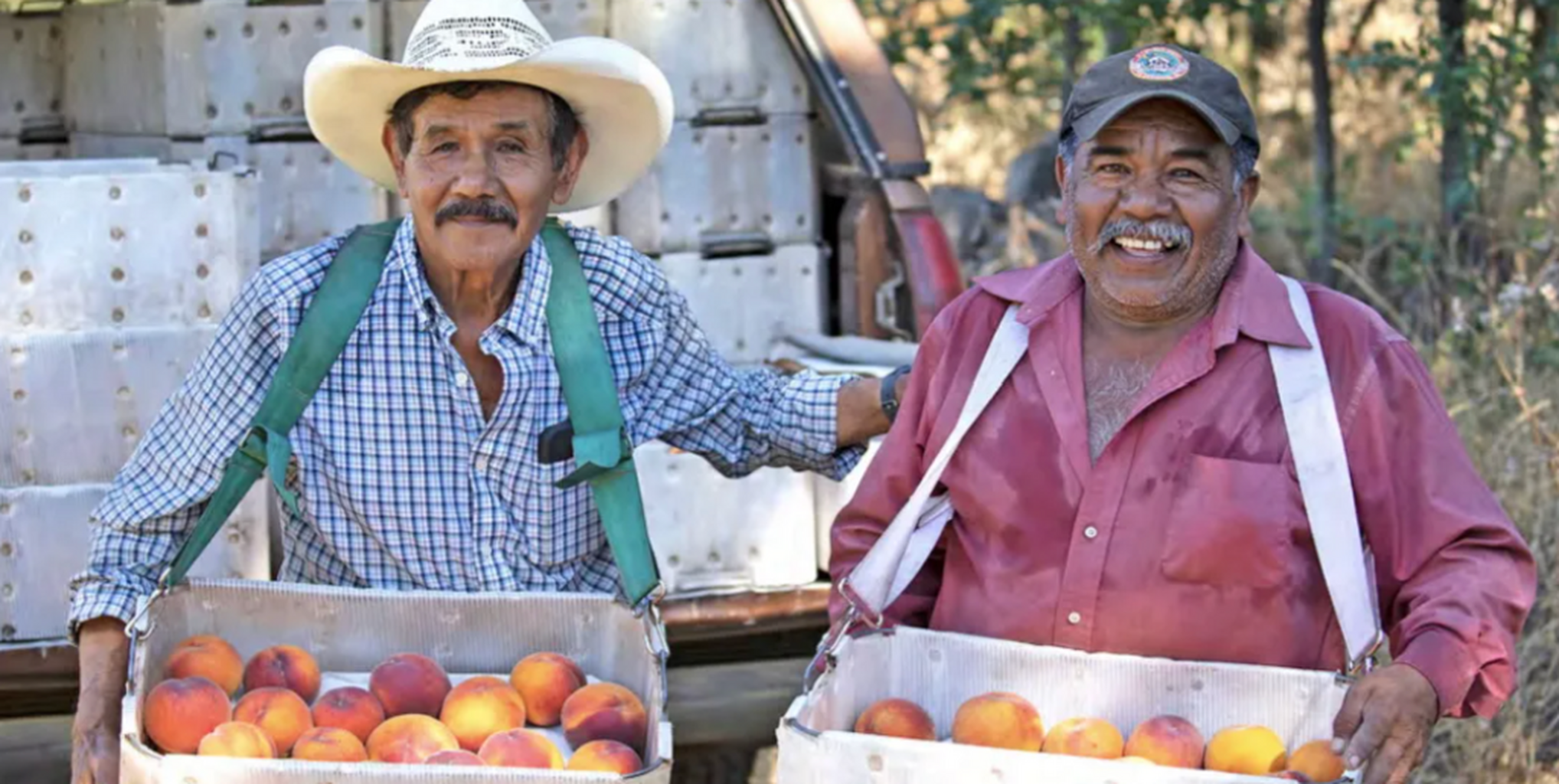 Agriculture, natural resources sectors support California&rsquo;s rank as world&rsquo;s fourth-largest economy