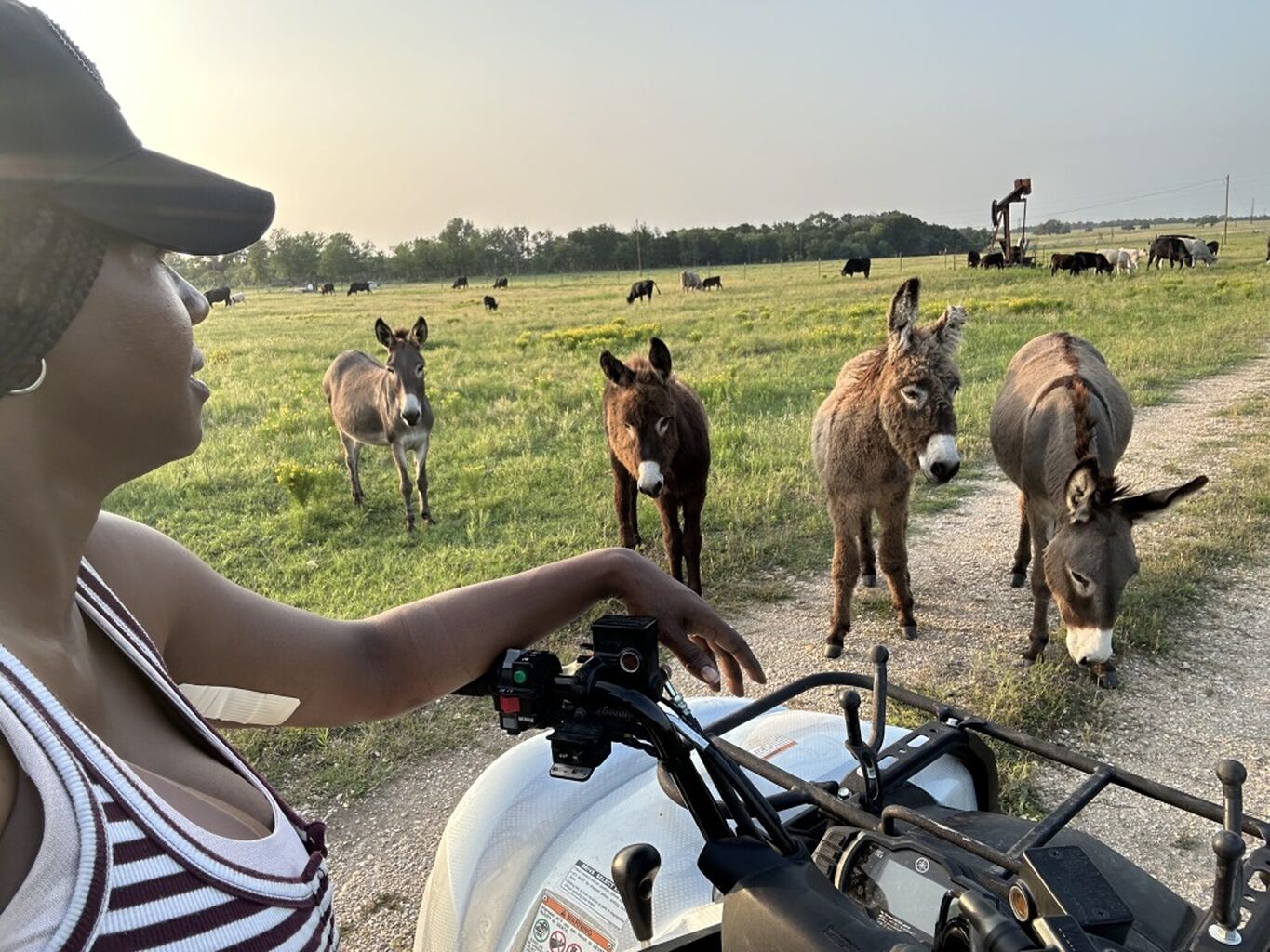 Deydra Steans: We Are Still Here &ndash; Farm Aid
