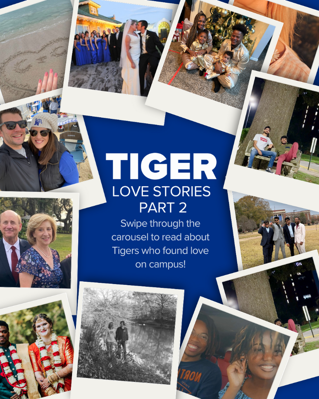 Tiger Love Stories
