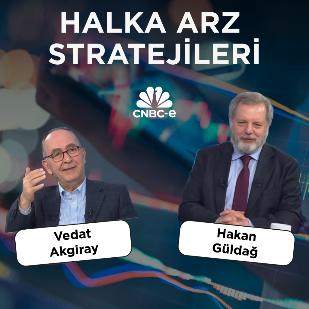 Halka arz stratejileri