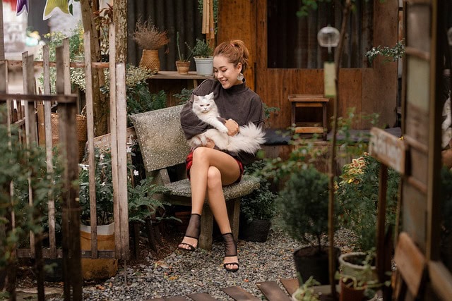 Top Pet Friendly Hotels in Dubai