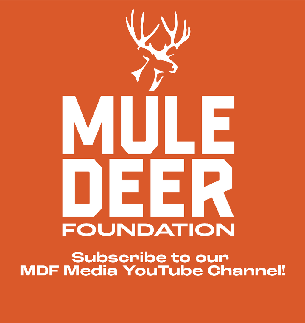 MDF Media YouTube - Subscribe!