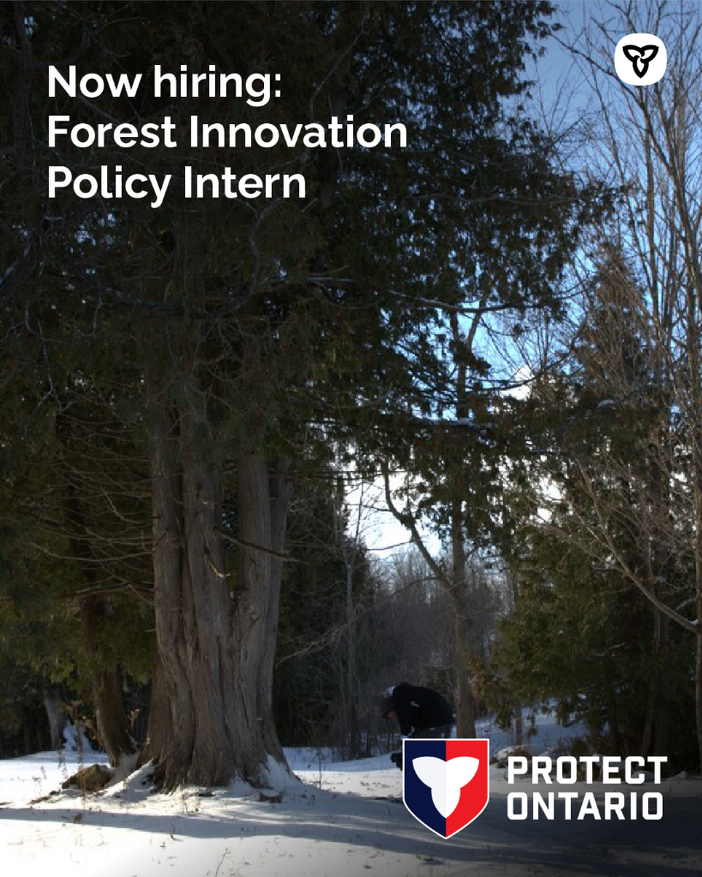 Forestry Interns 2