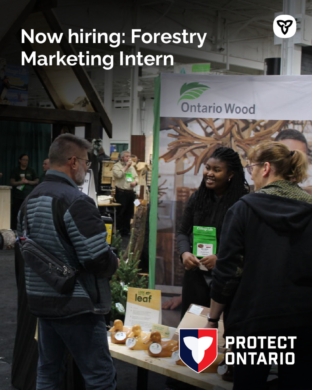 Forestry Interns 3
