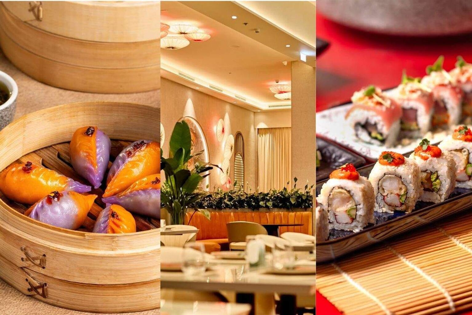 Chinese Restaurants in Sharjah (2026) | Best Places for Authentic Chinese Food