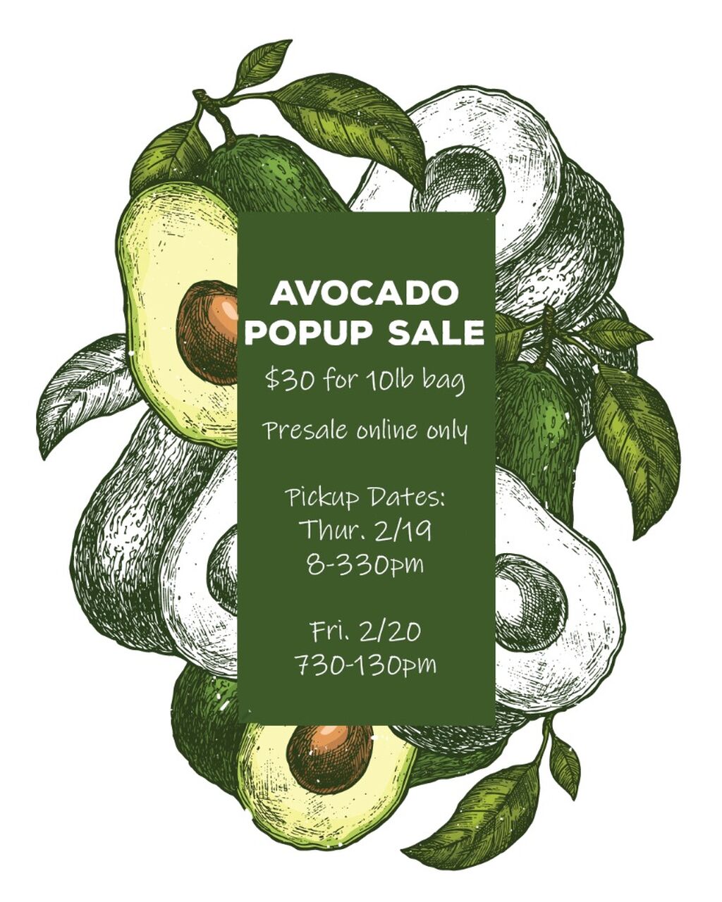 Avocado Popup February 2026