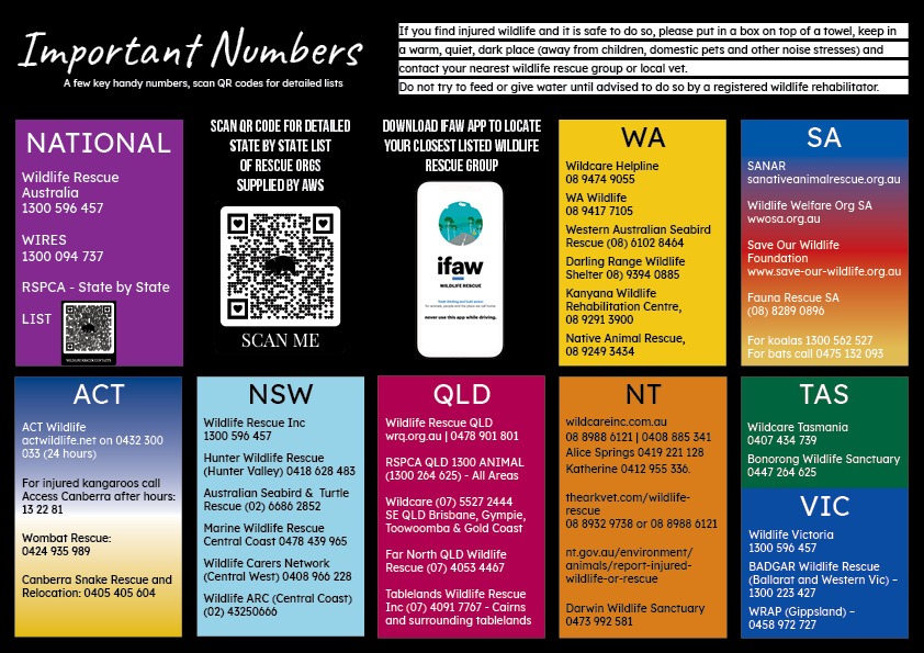 FIND A CARER NEAR YOU