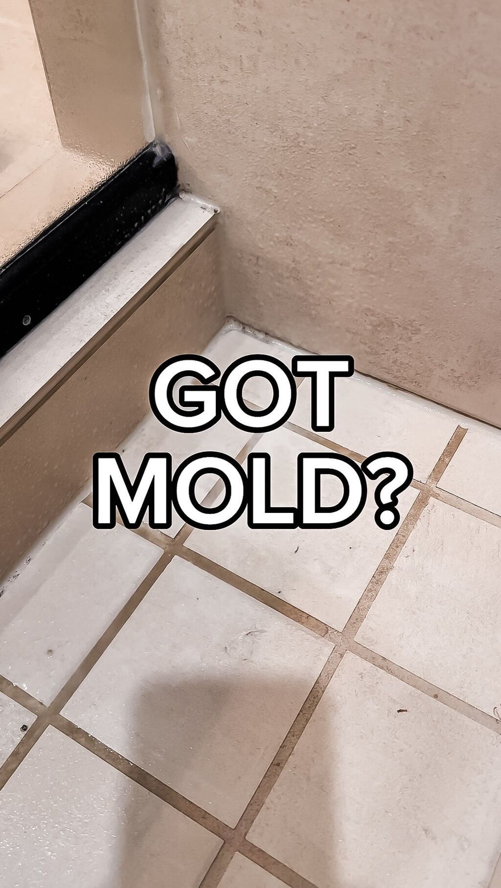 IF YOU HAVE MOLD THIS IS EXACTLY WHAT YOU NEED!