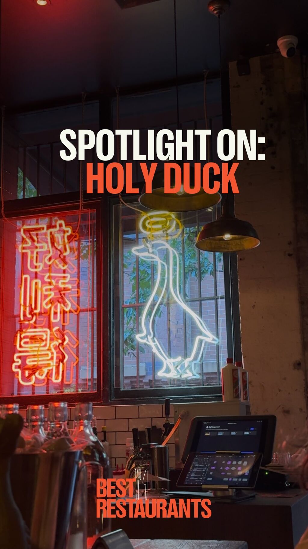 Holy Duck!