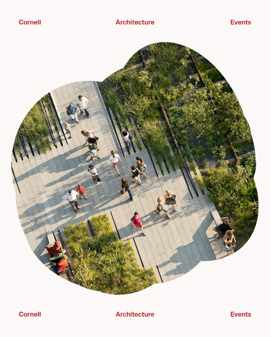 Island Editions: Elizabeth Diller
