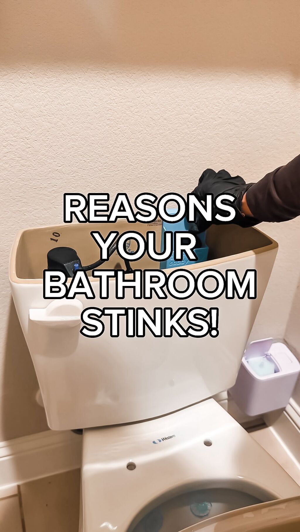 TOILET CLEANING