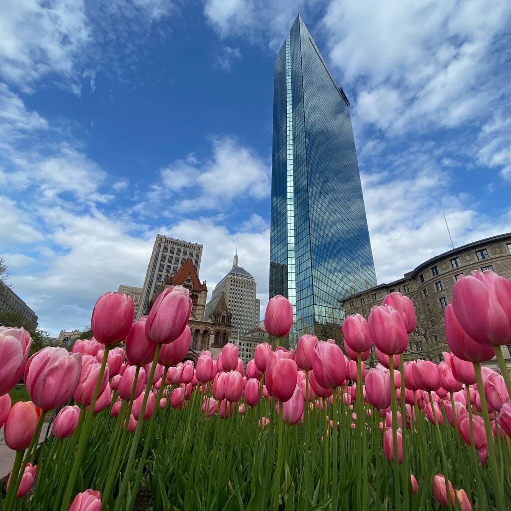 CRC Winner at EY Boston Reflects on Making a Sustainability Impact 