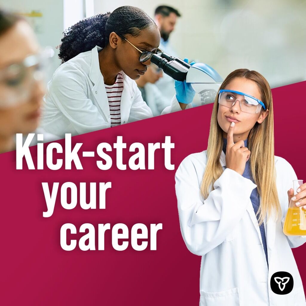 MNR Internships