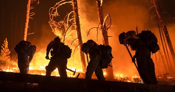 Add Your Name: I Stand With Climate Science and the Law | NRDC