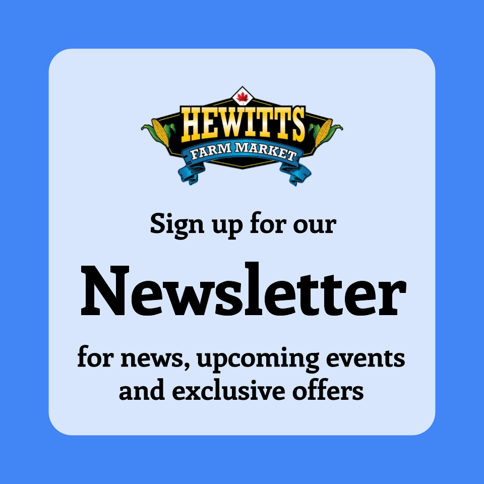 SIGN UP FOR OUR NEWSLETTER