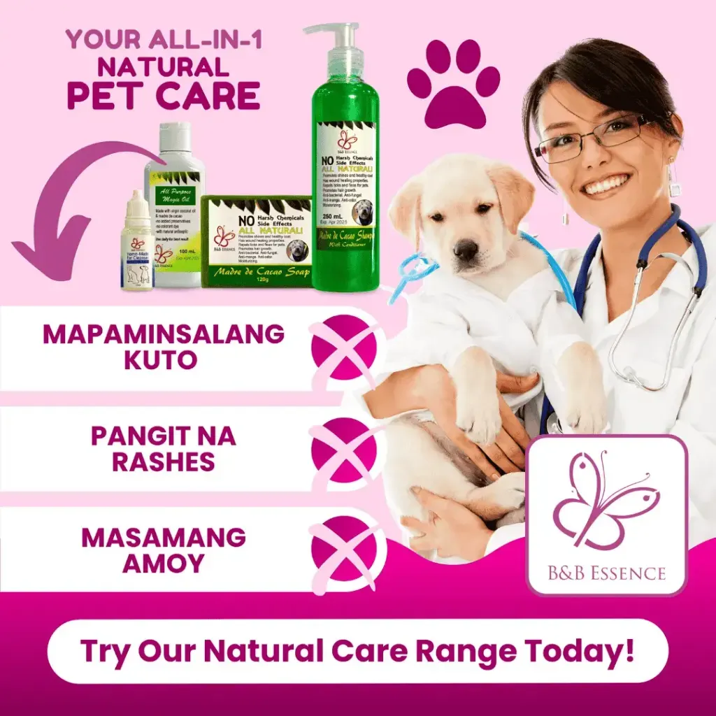 B&B Essence - All in 1 Natural Pet Care