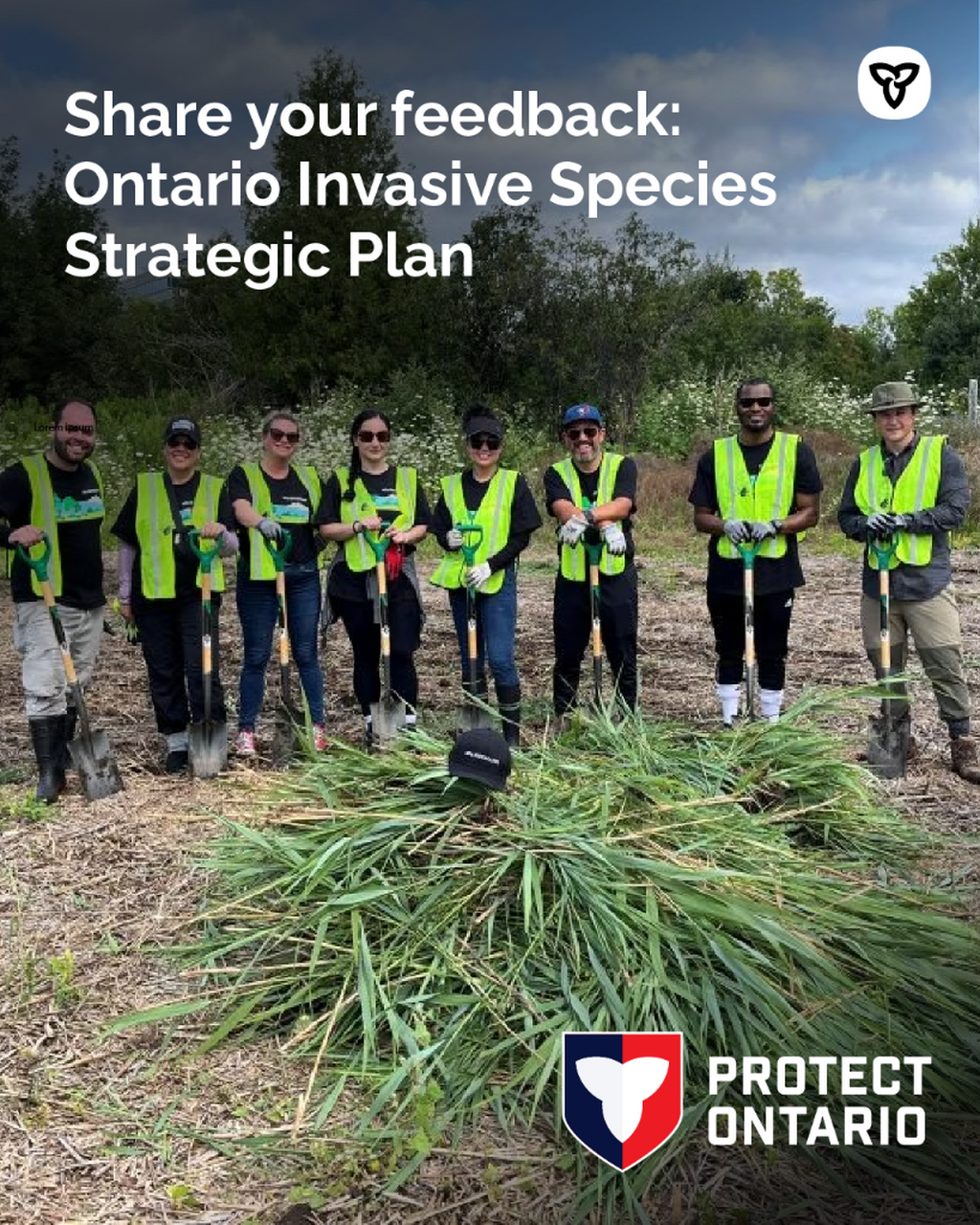 Invasive Species Strategic Plan 