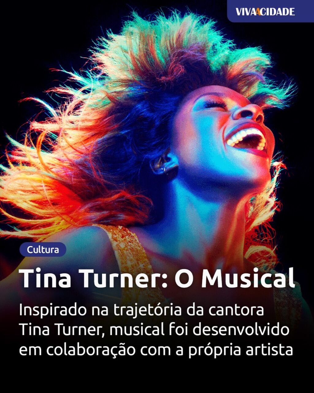 Tina Turner: O Musical